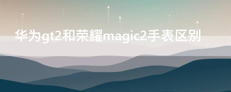 华为gt2和荣耀magic2手表区别(华为手表新款watch gt2和荣耀magic2哪个性价比高)