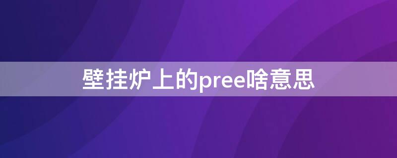 壁挂炉上的pree啥意思（壁挂炉Pree）