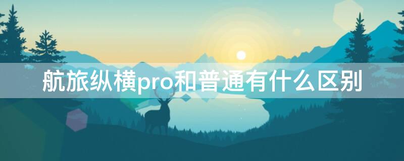 航旅纵横pro和普通有什么区别（航旅纵横和pro有啥区别）