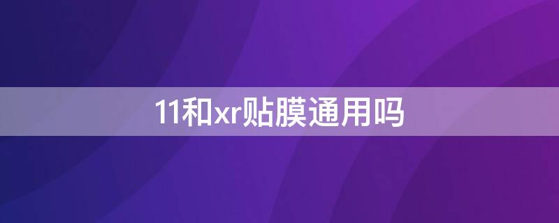 11和xr贴膜通用吗 xr和12贴膜