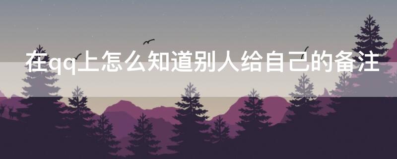 在qq上怎么知道别人给自己的备注（QQ怎么知道别人给自己的备注）