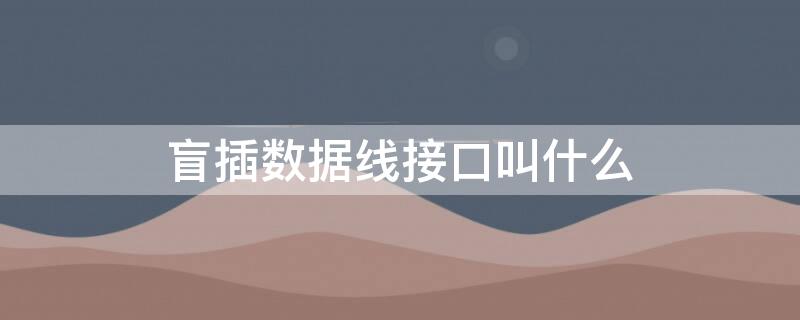 盲插数据线接口叫什么（盲插数据线是什么）