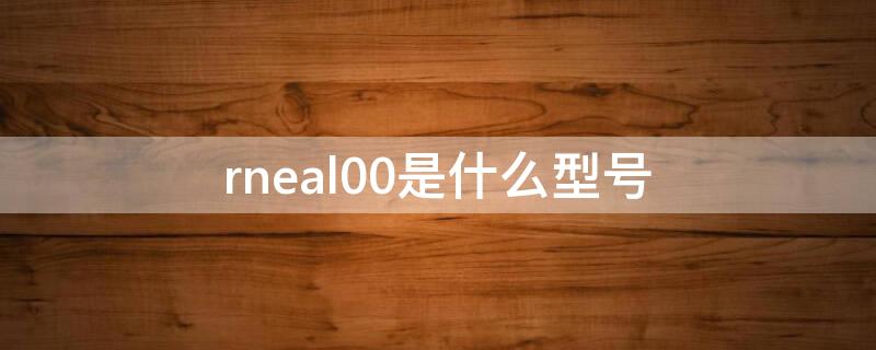 rneal00是什么型号 rneal00是什么型号的