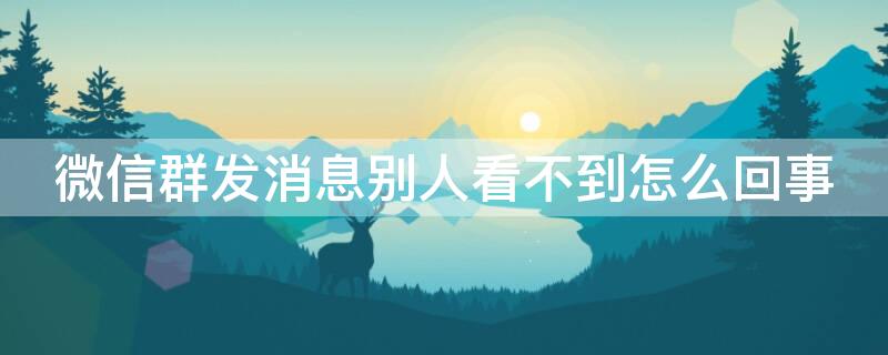 微信群发消息别人看不到怎么回事（微信群发的消息别人看不到咋回事）