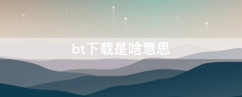 bt下载是啥意思（BT下载是啥）