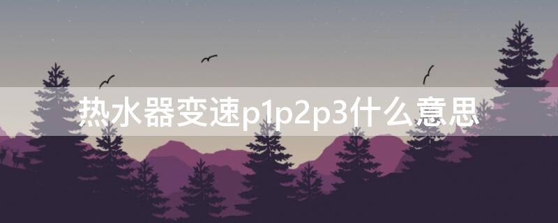 热水器变速p1p2p3什么意思（热水器调速p1p2p3的意思）