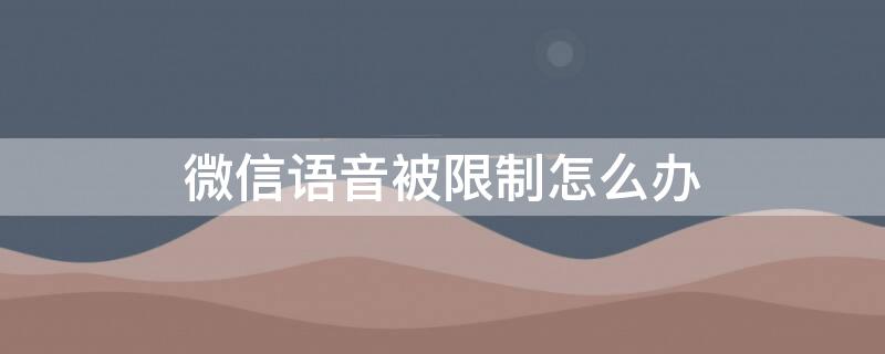 微信语音被限制怎么办 微信语音被禁止怎么办