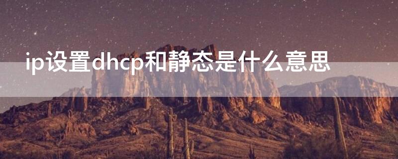 ip设置dhcp和静态是什么意思（ip设置里的DHCP和静态是什么意思）