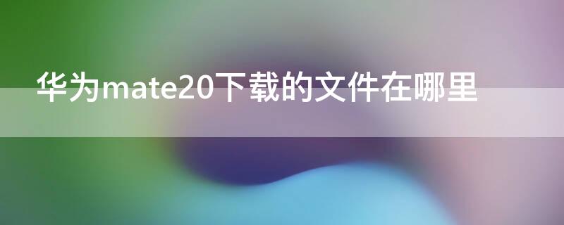 华为mate20下载的文件在哪里 华为mate20x下载的文件在哪