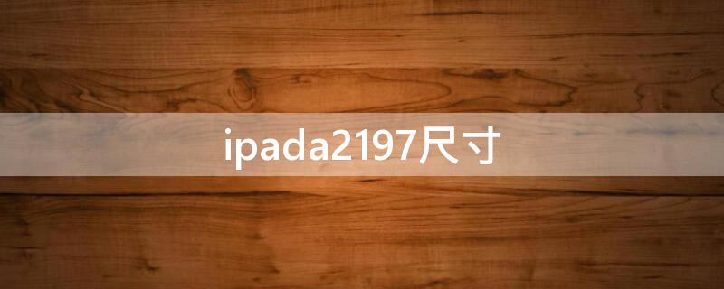 ipada2197尺寸（ipada2197尺寸是多少）