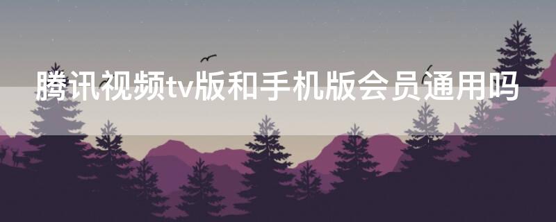 腾讯视频tv版和手机版会员通用吗（腾讯视频会员 tv版也可以用吗）