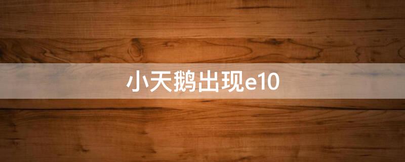 小天鹅出现e10（小天鹅出现e10代码是什么意思）