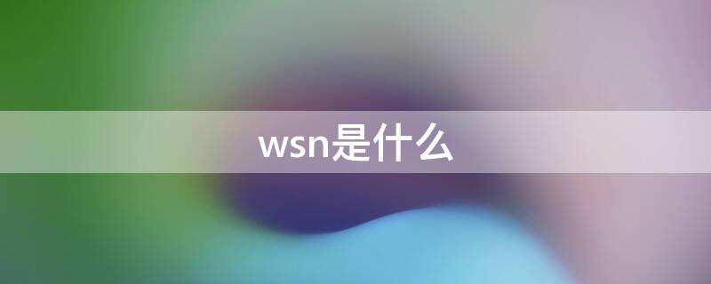 wsn是什么 wsn是什么缩写