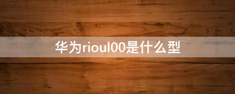 华为rioul00是什么型 华为rioal00