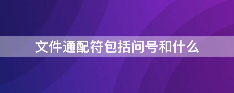 文件通配符包括问号和什么 文件通配符星号和问号有什么区别