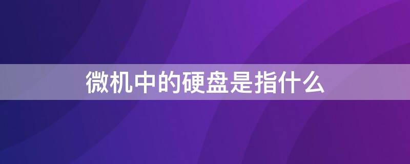 微机中的硬盘是指什么（微机中的硬盘是指什么东西）