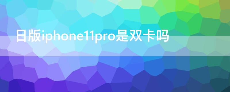 日版iPhone11pro是双卡吗（日版的苹果11pro是双卡吗）