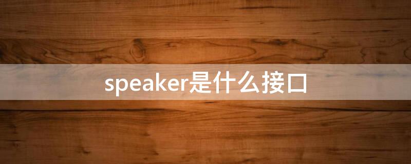 speaker是什么接口（功放上speaker是什么接口）