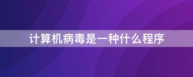 计算机病毒是一种什么程序（计算机病毒是一种什么程序的病毒）