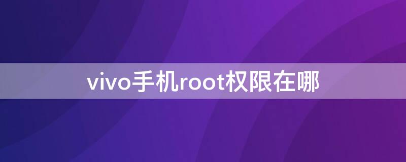 vivo手机root权限在哪（vivo手机root权限在哪里设置）