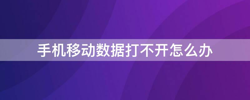 手机移动数据打不开怎么办（手机移动数据无法打开怎么办）