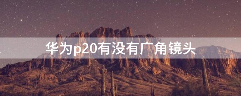 华为p20有没有广角镜头 华为p20怎么拍广角镜头