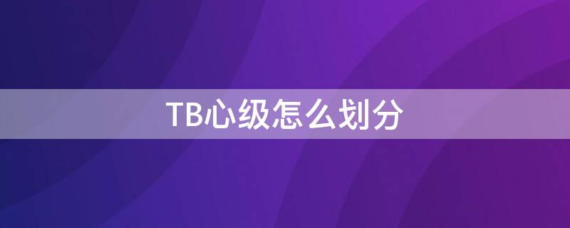 TB心级怎么划分（tb级数据库是什么意思）