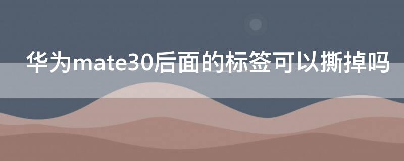 华为mate30后面的标签可以撕掉吗（华为mate30防拆标签）