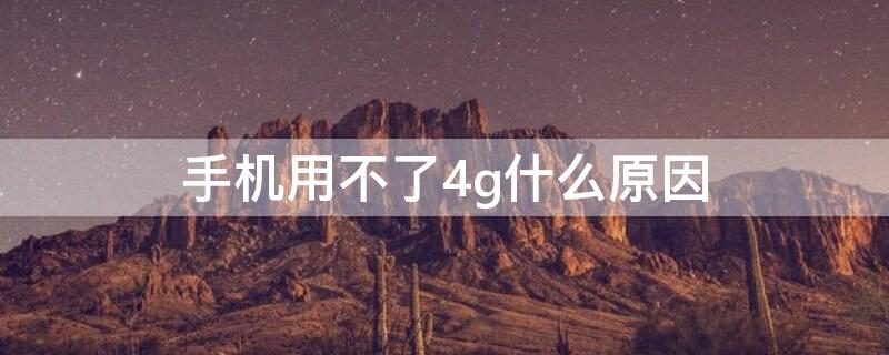 手机用不了4g什么原因（手机用不了4G是什么原因）