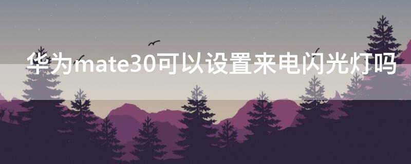 华为mate30可以设置来电闪光灯吗（华为mate30epro来电闪光灯怎么设置）