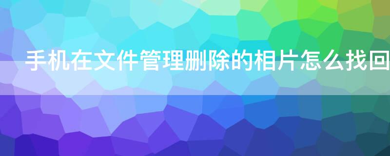手机在文件管理删除的相片怎么找回（手机在文件管理删除的相片怎么找回来）