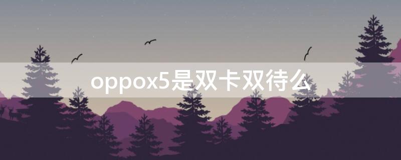 oppox5是双卡双待么 oppofindx是双卡双待吗?