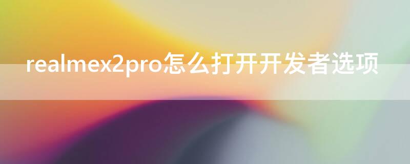 realmex2pro怎么打开开发者选项 realmex怎么进入开发者选项