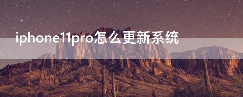 iPhone11pro怎么更新系统 iphone12pro怎么更新系统