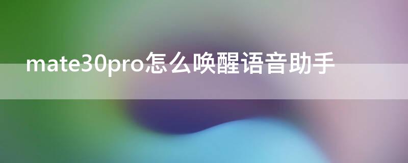 mate30pro怎么唤醒语音助手（华为mate30pro怎么打开语音唤醒啊）