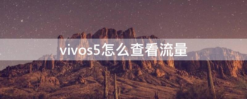 vivos5怎么查看流量 vivos5怎么设置流量数据