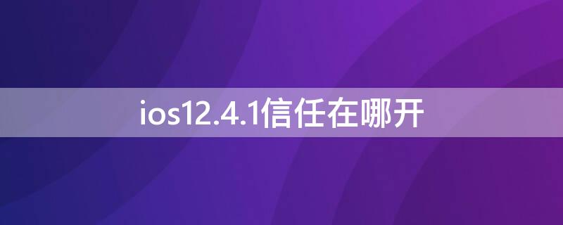 ios12.4.1信任在哪开 ios14.1信任在哪里设置