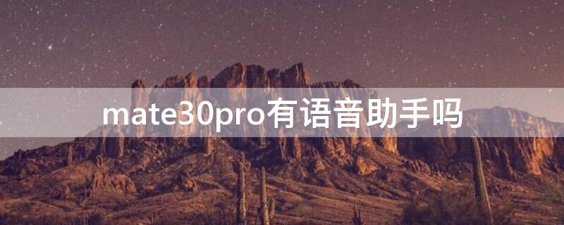 mate30pro有语音助手吗 华为mate30pro有语音助手吗