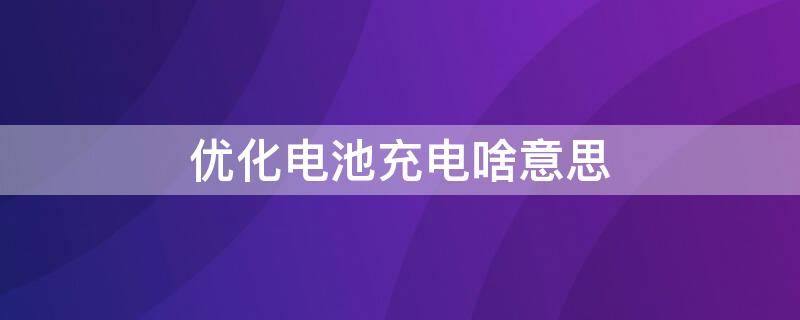 优化电池充电啥意思（优化电池充电啥意思啊）