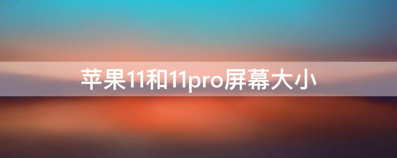 iPhone11和11pro屏幕大小 iphone11和iphone11pro屏幕大小