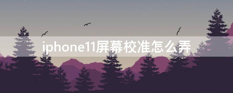 iPhone11屏幕校准怎么弄（苹果11手机屏幕校准在哪里设定）