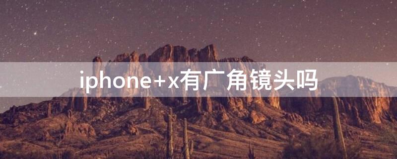 iPhone x有广角镜头吗