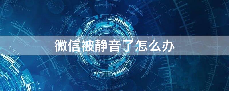 微信被静音了怎么办（微信静音了怎么回事）