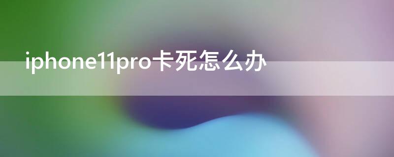 iPhone11pro卡死怎么办（iphone12pro突然卡死）