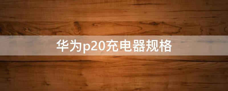 华为p20充电器规格（华为p20充电器规格是多少）