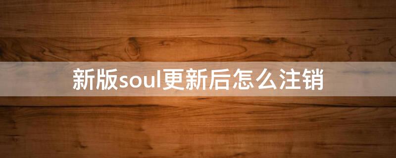 新版soul更新后怎么注销