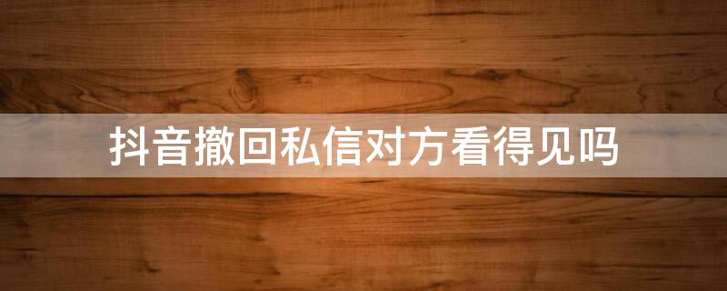 抖音撤回私信对方看得见吗 抖音撤回私信对方看得见吗怎么设置