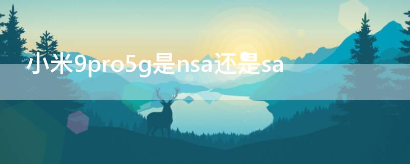 小米9pro5g是nsa还是sa（小米9pro5g和小米9区别）