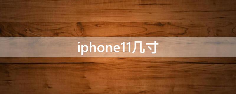 iPhone11几寸 iPhone11几寸的