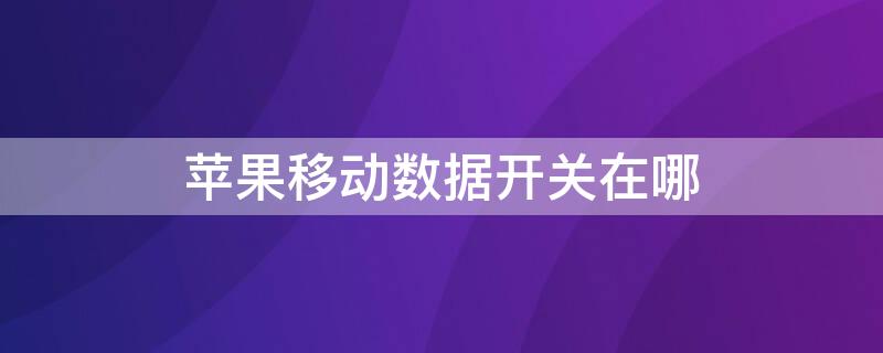 iPhone移动数据开关在哪 苹果移动数据开关在哪里